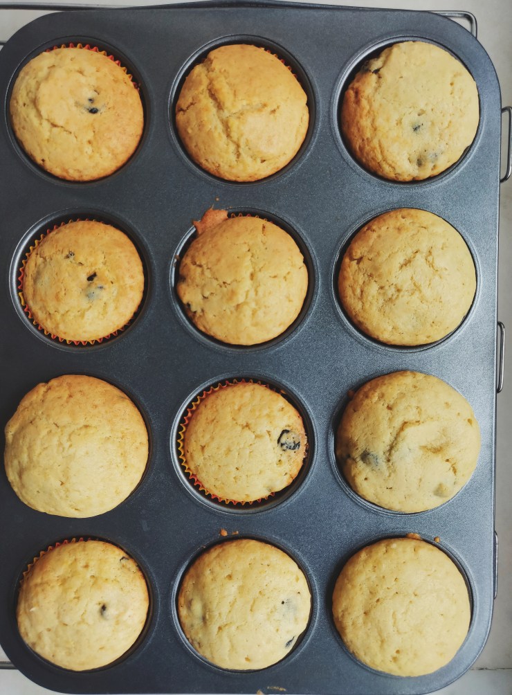 2018-07-18 09.40.27 1.jpg