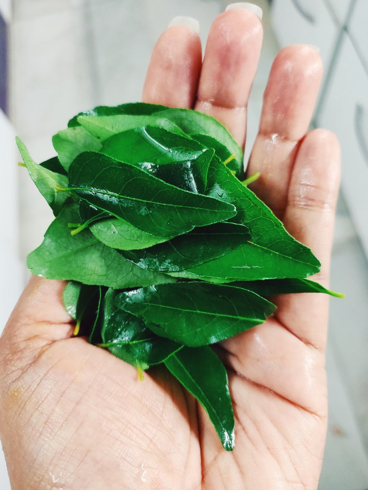 2018-09-20 07.49.48 1.jpg