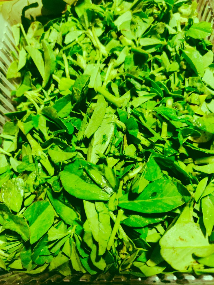 Processed with VSCO with 8 preset